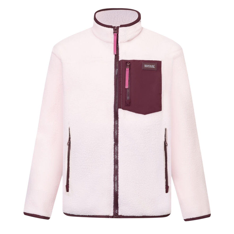 Regatta (13 Years, Pink Haze/Fig) Childrens/Kids Frankie Colour Block Fleece Jacket