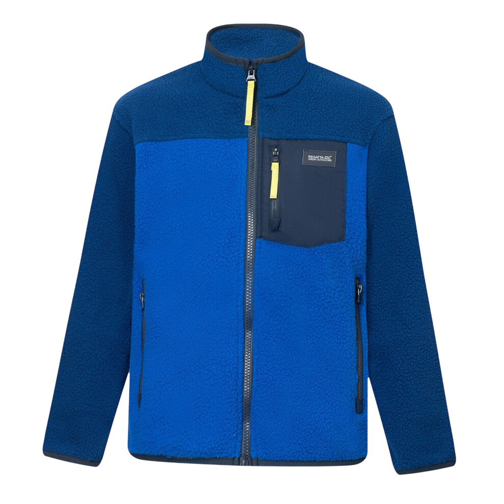 Regatta (13 Years, Aviator Blue/Olympian Blue) Childrens/Kids Frankie Colour Block Fleece Jacket