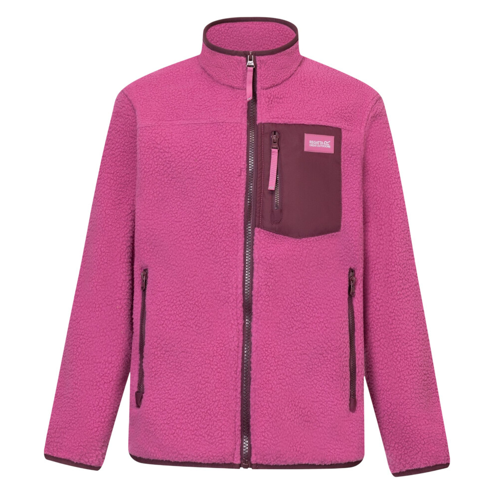 Regatta (11-12 Years, Violet Fig) Childrens/Kids Frankie Colour Block Fleece Jacket