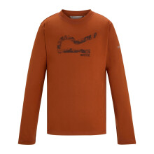 (15-16 Years, Rooibos Tea) Regatta Childrens/Kids Alvarado Big Logo T-Shirt