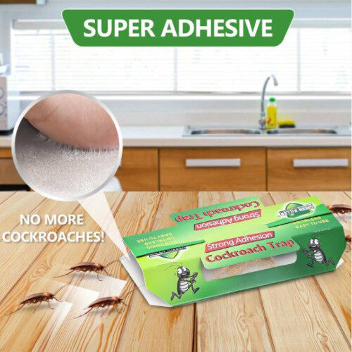 Cockroach Catching Box With Adhesive Trap For Indoor Pest Control Solutions 2
