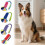 Bungee Snoodle Dog Tug-Mop Training Toy Exercise Interactive Play Games Pet Supply 2