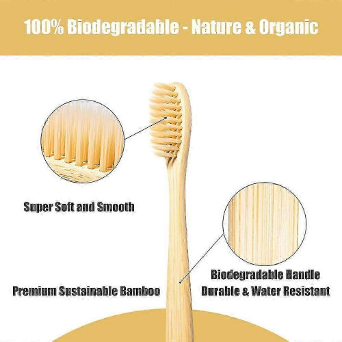 Cepillo de dientes de bambú, paquete de 10 cepillos de dientes de madera biodegradables 1