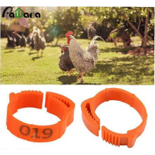 100 piezas Anillos de tamaño ajustable para patas de pollo, hebilla de etiqueta numerada para patos, pollos, suministros para aves de