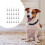 24Pcs Decorative Dog Bells Multi-function Pet Bells Adorable Collar Bells Cat Accessory 4
