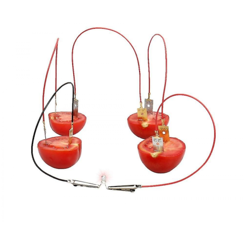 Fruit Battery Light Diode Generator Science Experiment Kit Student Education Toy 2