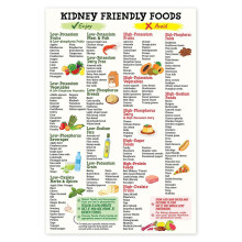 Kidney Friendly Food List Poster 12 x 18 Inches Unframed Kidney Awareness