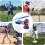 Electric Baseball Set, Automatic Launcher with 6 EVA Balls, Bat, Racket 4