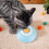 Dog Lick Mat  Interactive Licking Toy, Reduce Boredom, Mental Stimulation 2