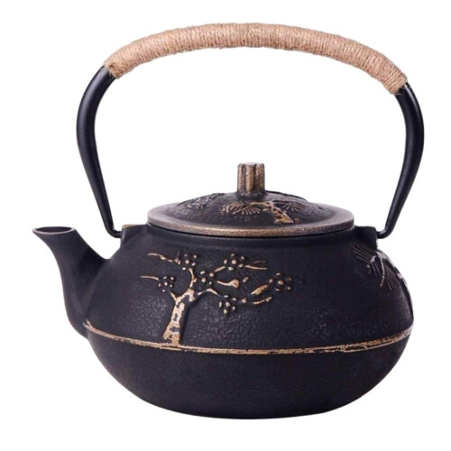 Japanese Cast Iron Teapot 0.9L with Infressor Tea Kettle