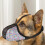 Soft Muzzle, Dog Muzzle, Soft Padded, Adjustable, Breathable  AntiBiting, Medium Dogs, Color 2 XL 2