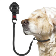 Dog Bathing Tether with Suction Cup, 19.69x0.39 Inches, Grooming Restraint for Small Medium Dogs