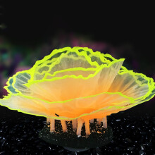 Fischtank corals, coral reef decorations, Aquarium colorful corals Vibrant corals