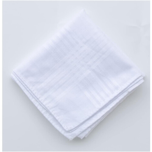 Mens White Cotton Cotton handkerchiefs Pack 2