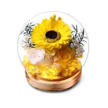 Preserved Sunflower and Eternal Rose Glass Dome with LED Light and Wooden Base Gift for All Occasions
