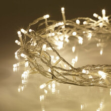 100 LED Warm White Light Christmas Decoration Indoor/Outdoor Decor