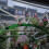Polycarbonate Roofing Sheet,Sheet Thin Rigid Plastic Sheet Clear Polycarbonate,1mm,UV Rainproof Roof Cover 2