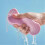 Magic Exfoliating Bath Sponge, Extra Soft Exfoliating Bath Sponge, Removes Dead Skin, Reusable 2