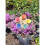 Flower Cups compatible with Backyard, Insect Drinking Cups compatible with Garden, Drinking Cup compatible with Bees, Insect Water 4