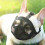 French Bulldog Breathable Mesh Muzzle for Short Snout Dogs, Adjustable Soft Dog Muzzle to Prevent Biting 4
