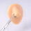 Professional Stainless Steel Piercing Forceps for Ear and Tragus with Precise Control Autoclavable Design 5
