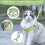 Adjustable Cat Harness & Leash Set – Escape-Proof Polyester Harness for Kittens & Dogs 3