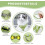 Adjustable Cat Harness & Leash Set – Escape-Proof Polyester Harness for Kittens & Dogs 4