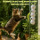 Automatic Caterpillar Cat Toy – Interactive Motion-Sensing Rechargeable Toy 5