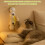 Automatic Caterpillar Cat Toy – Interactive Motion-Sensing Rechargeable Toy 6