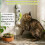 Automatic Caterpillar Cat Toy – Interactive Motion-Sensing Rechargeable Toy 7