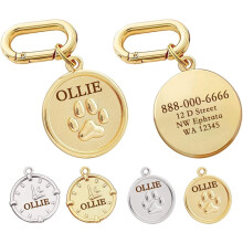 (Paw) Personalised Double-Sided Dog ID Tag, Stainless Steel Pet Name Tag, Laser Engraved Collar Charm, Gold or Silver