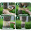Effective Insect Barrier Tape for Tree Protection 5