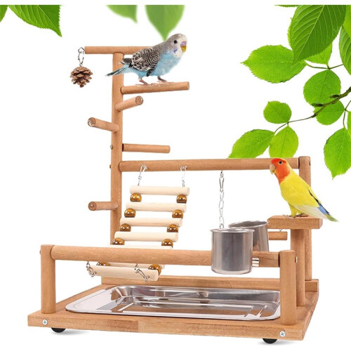 Bird Playground – Fun Perch Activity Center for Pet Birds