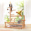 Bird Playground – Fun Perch Activity Center for Pet Birds 3