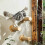 Cat Wall Steps 2-Pack – Wall-Mounted Climbing Shelves with Jute Scratching Surface 4