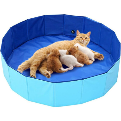 Foldable Cat Bathing Pool – Portable Pet Bath Tub for Easy Storage