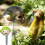 6 Pcs Cute Monkey Key Caps for Easy Key Identification 4