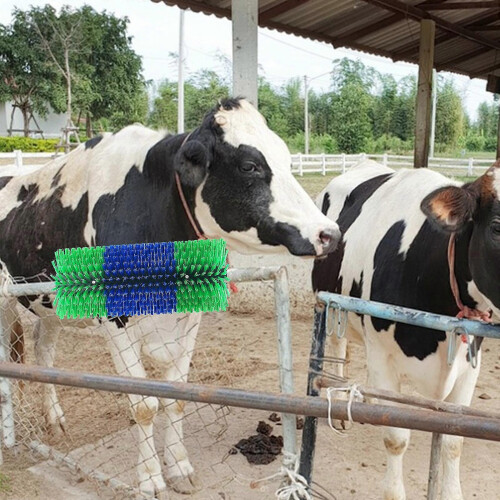 Brosse douce pour vaches, outil de grattage pour le bétail 1