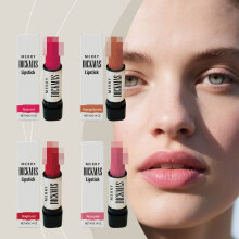 Christmas secret party lipstick series silky smooth natural matte texture not easy to smudge lipstick