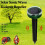 Outdoor Solar Rat Repeller Ultrasonic Pest Snake Mole Rat Mice Repeller 4