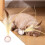 Cat Bouncing Balls with Feathers 3-Pack – Feather Balls for Interactive Cat Play 4
