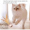 Cat Bouncing Balls with Feathers 3-Pack – Feather Balls for Interactive Cat Play 2
