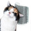 Self-Care Brush for Cats - Light Gray, Wall-Mountable, Suitable for Corners and Flat Surfaces, Durable Design 2