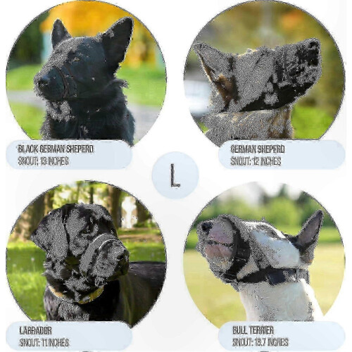 Komfortabler Hundemaulkorb mit sicherem Sitz und Beißschutz 2