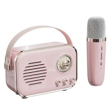 P33 Plus FM Radio Bluetooth Speaker with Wireless Microphone Home Karaoke Machine