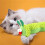 Catnip Plush Cushion Toy – Interactive Cat Play 5