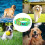 Cute and Soft, Durable Nylon Collars, Suitable for Various Dog Breeds (Bright Colors) 5