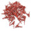 100PCS Plants Graft Clips Plastic Grafting Clips Practical Garden Plant Clips 5