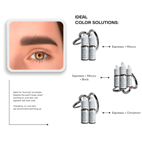 Face Espresso Brow Pigment 2