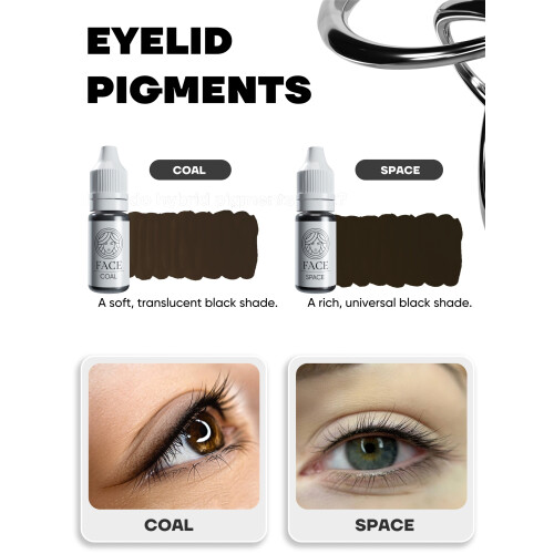 FACE Coal Hybrid Line Eyelid Pigment 1